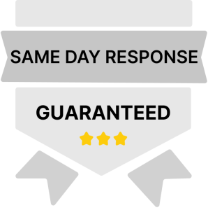 ISO 20022 Coins Explained – List of ISO 20022 Compliant Coins [2025]